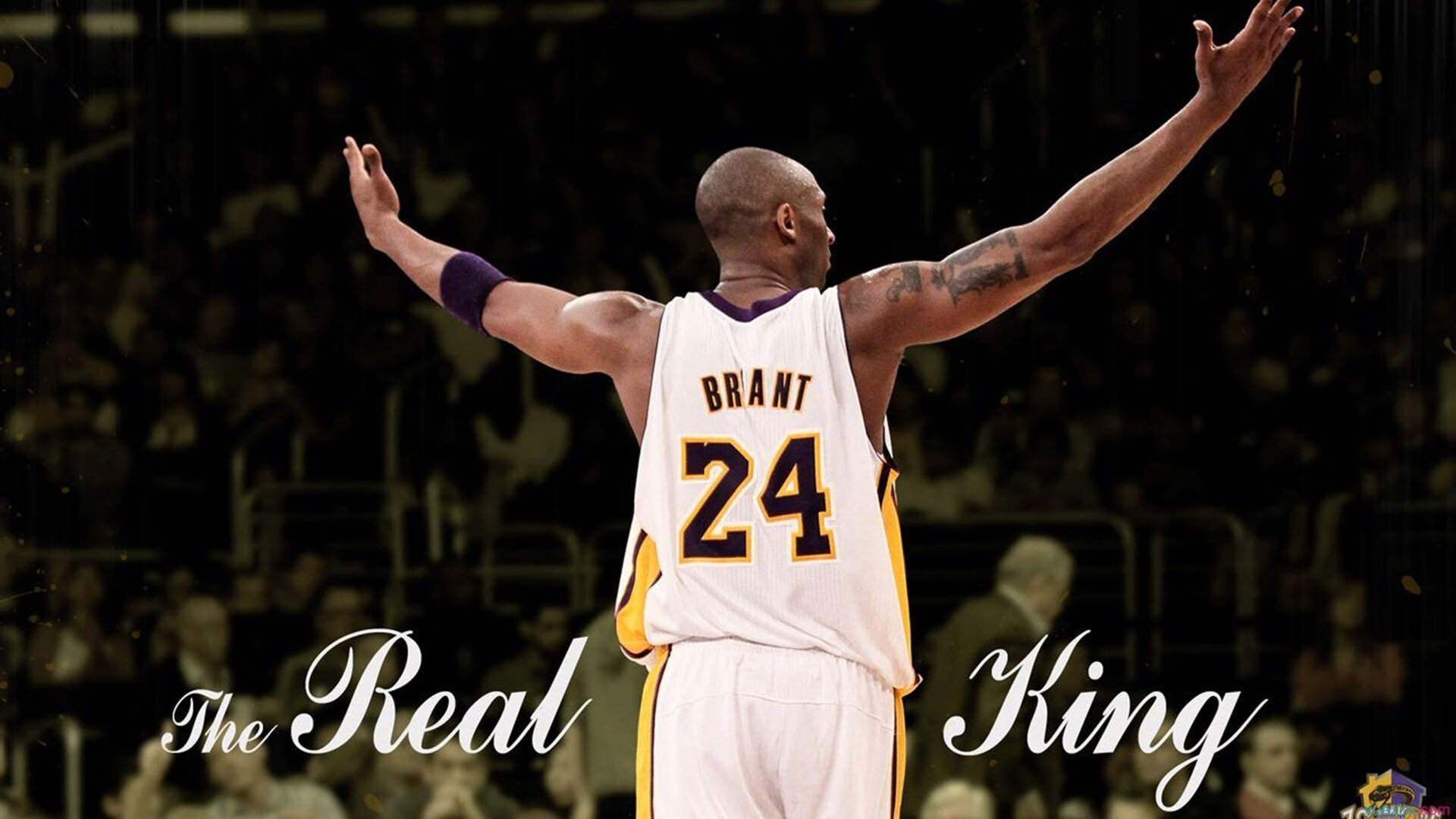 F1新赛季揭幕战焦点与NBA碰撞,赛道狂飙与丛林法则的跨时空对话